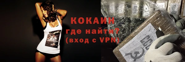PSILOCYBIN Бронницы