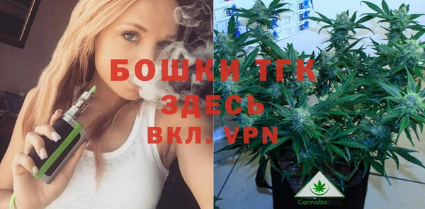 PSILOCYBIN Бронницы